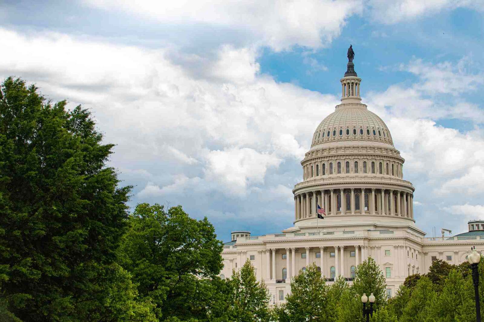 The United States Capitol dome in Washington, D.C., framed by trees under a blue sky