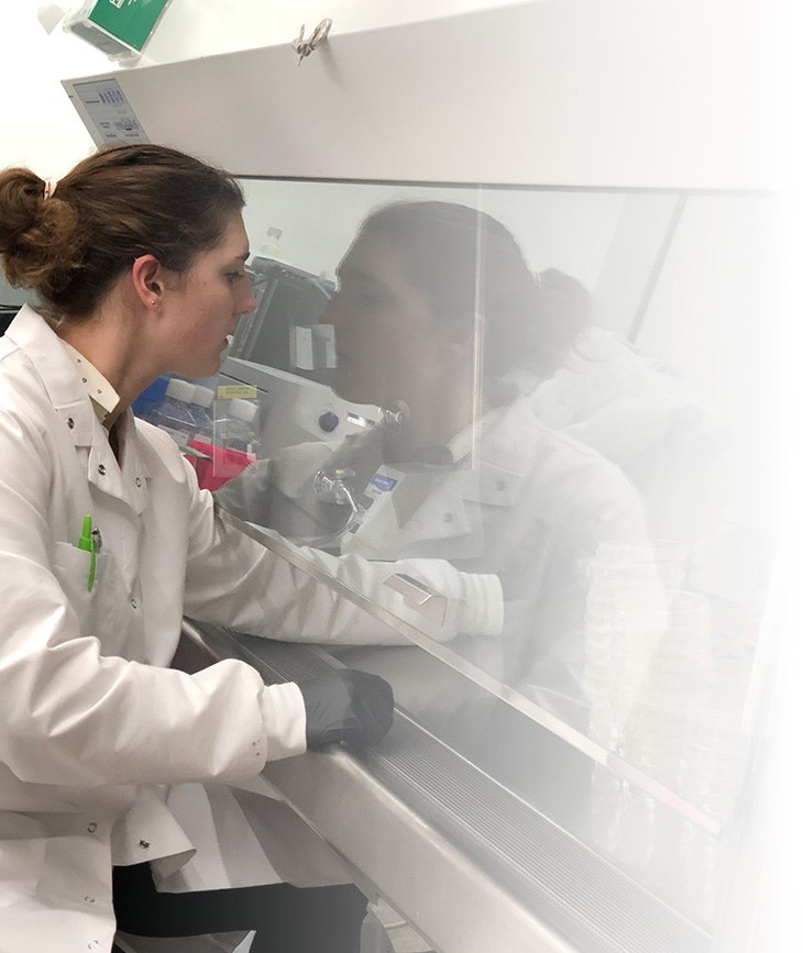 An Armata scientist in a white lab coat and gloves works at a biosafety cabinet, culture plates and bottles visible behind the sash