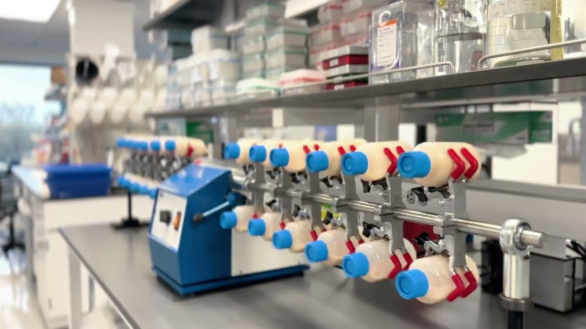 Rows of culture flasks clamped to an orbital shaker on a bench in BigHat's automated wet lab, with labelled reagent boxes on the shelves above