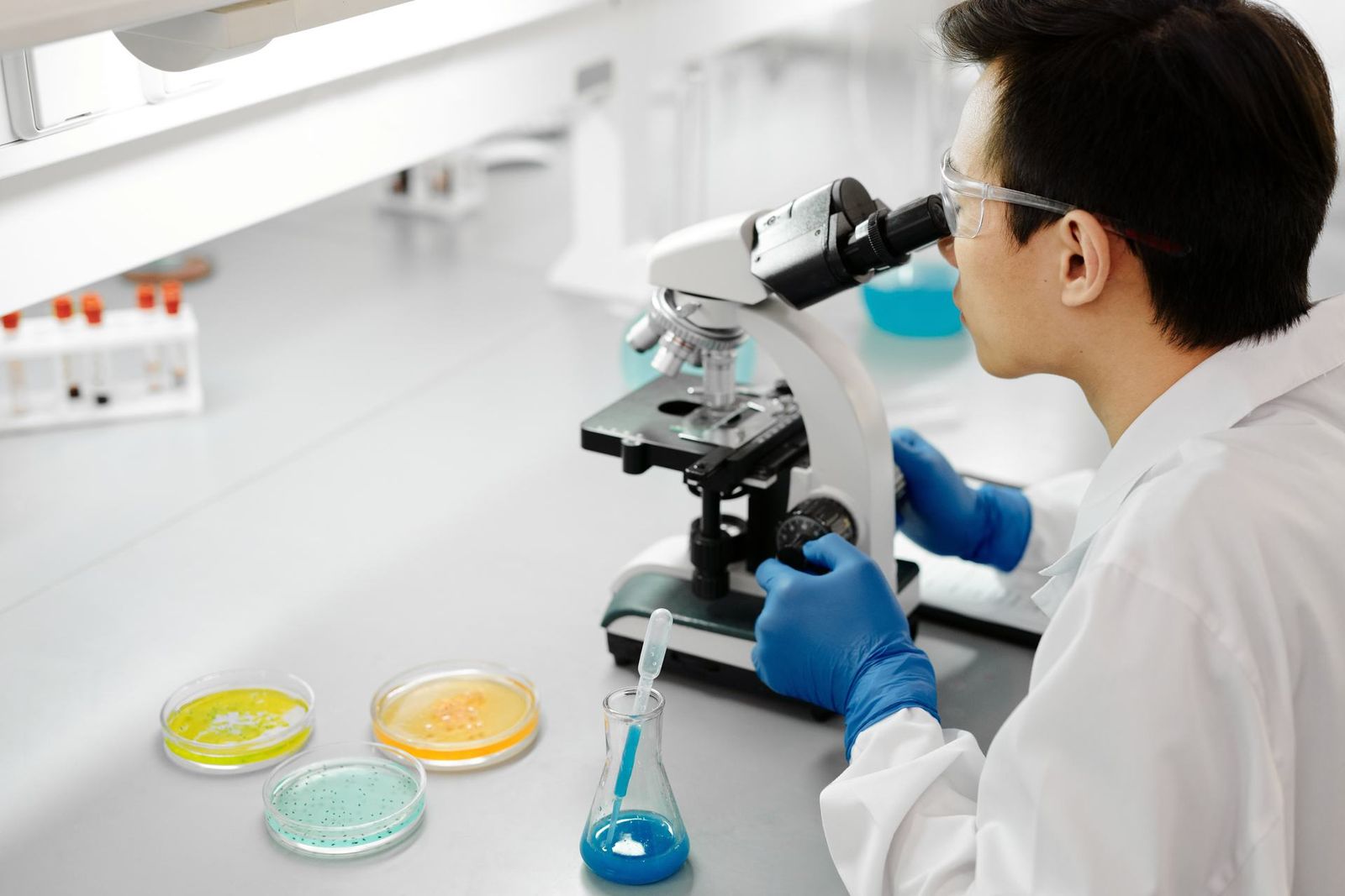 A researcher in a lab coat and blue nitrile gloves examines petri dish cultures under a microscope