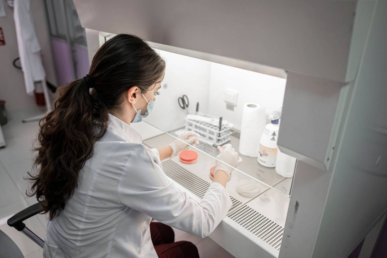 A gloved scientist working inside a biosafety cabinet with petri dishes in a clinical microbiology lab, a generic stand-in for bioMérieux's diagnostics work