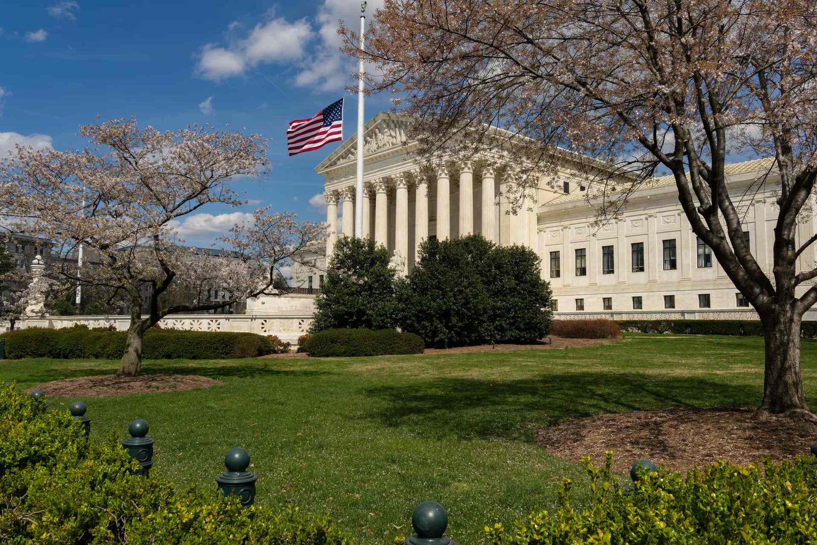 The U.S. Supreme Court Building in Washington, D.C., framed by blooming cherry trees under a clear blue sky