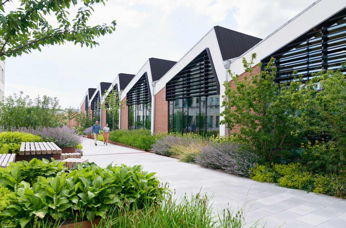 LEO Pharma's Ballerup headquarters in Denmark: a row of gabled brick-and-glass buildings along a planted walkway on a summer day.