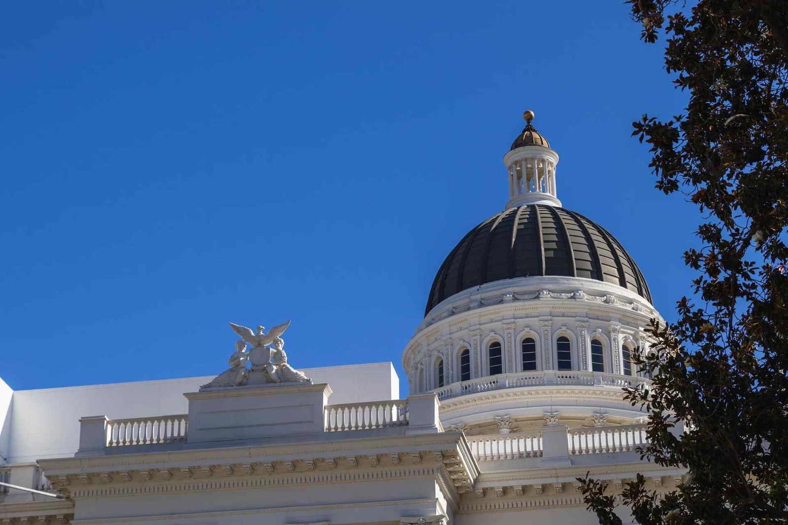 The dome of the California State Capitol building against a deep blue sky, with a tree visible at the frame's edge