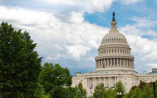 The United States Capitol dome in Washington, D.C., framed by trees under a blue sky