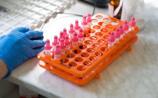 A gloved hand reaches for a rack of blood sample tubes with pink caps on a laboratory bench