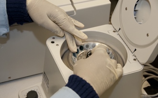 Gloved hands loading sample tubes into a benchtop centrifuge in an FDA laboratory