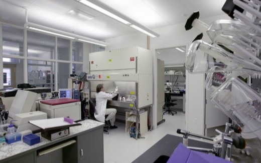 A scientist working at a cabinet in an FDA laboratory