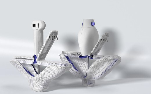 Edwards rendering of two PASCAL transcatheter repair implants with paddles and clasps open