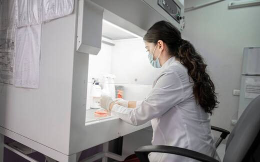 A researcher in a lab coat and mask works with culture plates inside a biosafety cabinet
