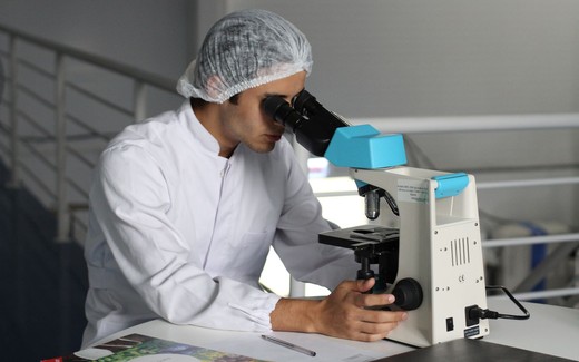 A researcher in a hairnet and lab coat looks through a benchtop microscope while adjusting its focus knob